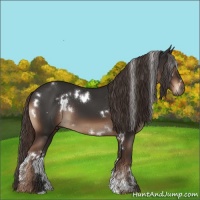 Horse Color:White Spotted Liver Chestnut 