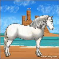 Horse Color:Buckskin Pearl Tobiano  and Buckskin Roan Pearl Varnish 