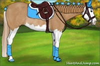 Horse Color:Chestnut Splash Rabicano 