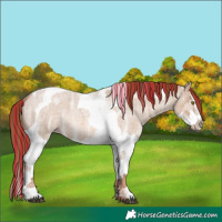 Horse Color:Painted Red Dun Ice Roan Splash Tobiano Rabicano 