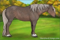 Horse Color:Silver Black 