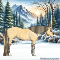 Horse Color:Buckskin Pearl  and Buckskin 