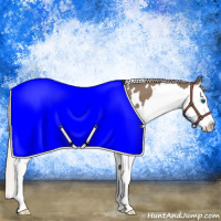 Horse Color:White Spotted Silver Grullo Splash Appaloosa 