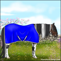 Horse Color:White Spotted Brown Rabicano