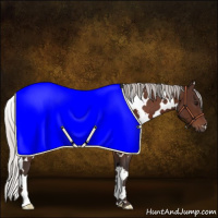 Horse Color:White Spotted Silver Bay