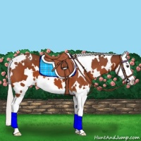 Horse Color:White Spotted Silver Brown Splash 
