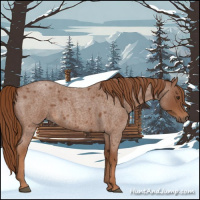 Horse Color:Red Roan 