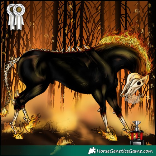 Horse Color:Void Buckskin Roan Dun Blanket 