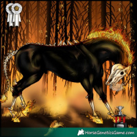 Horse Color:Void Buckskin Roan Dun Blanket 