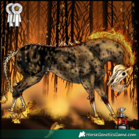 Horse Color:Void Buckskin Roan Dun Blanket 
