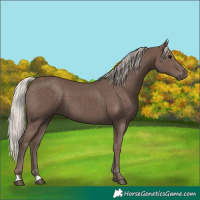Horse Color:Silver Black