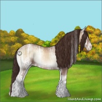 Horse Color:White Spotted Classic Champagne Ice Onyx Sabino