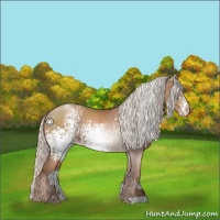 Horse Color:White Spotted Silver Black Pearl