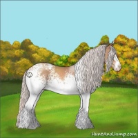 Horse Color:White Spotted Silver Classic Champagne Sabino 