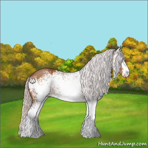 Horse Color:White Spotted Silver Brown Sabino 