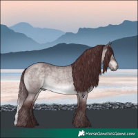 Horse Color:Platinum Chocolate Brown Roan Dun 