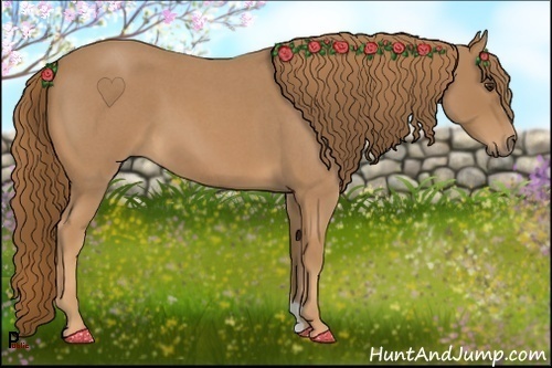 Horse Color:Red Roan 