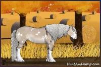 Horse Color:White Spotted Liver Red Dun Splash Rabicano 