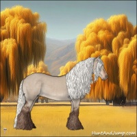 Horse Color:Liver Red Dun Mushroom 