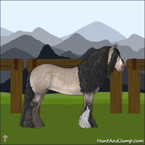 Horse Color:Brown Dun Mushroom Rabicano