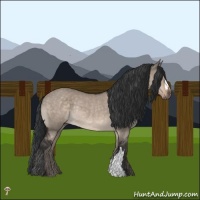 Horse Color:Brown Dun Mushroom Rabicano 
