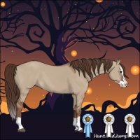 Horse Color:Liver Red Dun Splash