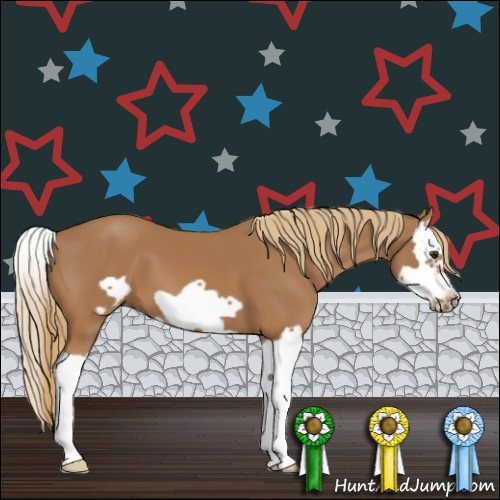 Horse Color:Chestnut Splash Frame