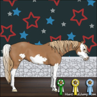 Horse Color:Chestnut Splash Frame 