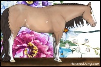 Horse Color:White Spotted Amber Champagne