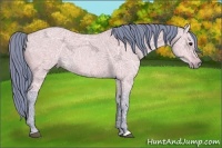Horse Color:Watercolor Bay Ice Dun 