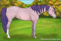Horse Color:Watercolor Amber Champagne Ice