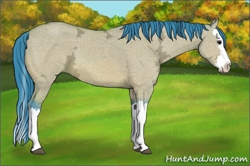 Horse Color:Watercolor Bay Ice Dun Splash 