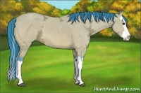 Horse Color:Watercolor Bay Ice Dun Splash 