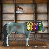 Horse Color:Black Sabino Tobiano