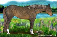 Horse Color:Chocolate Palomino 