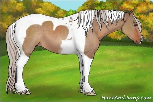 Horse Color:Silver Brown Dun Tobiano