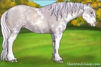 Horse Color:Watercolor Silver Black Pearl Sabino