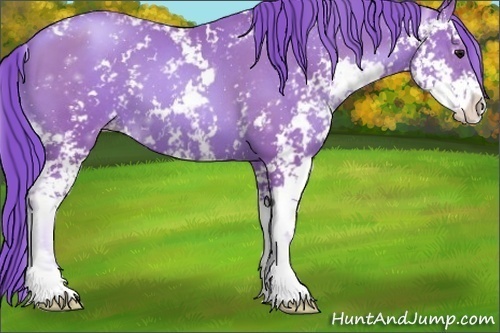Horse Color:Watercolor Black Pearl Sabino 