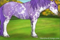 Horse Color:Watercolor Black Pearl Sabino 
