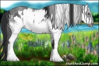 Horse Color:White Spotted Blue Roan Rabicano  and White Spotted Blue Roan Frame Rabicano 