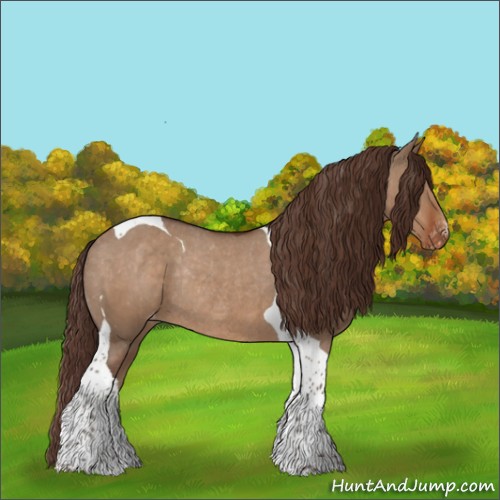 Horse Color:Liver Red Dun Tobiano Appaloosa Rabicano