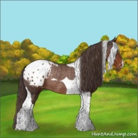 Horse Color:Liver Chestnut Tobiano Blanket Rabicano 