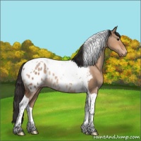 Horse Color:Bay Dun Tobiano Blanket Rabicano 