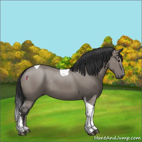 Horse Color:Grullo Tobiano Rabicano 