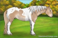 Horse Color:Red Dun Tobiano Rabicano 