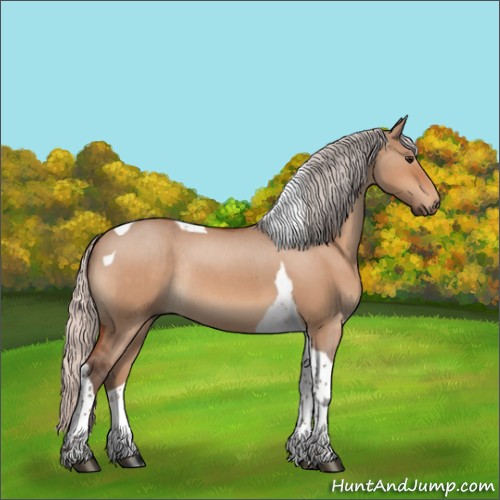 Horse Color:Silver Bay Roan Dun Tobiano Rabicano 