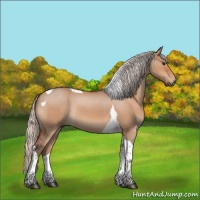 Horse Color:Silver Bay Roan Dun Tobiano Rabicano 