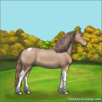 Horse Color:Red Dun Tobiano 
