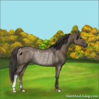 Horse Color:Smoky Grullo Rabicano 