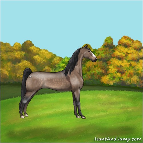 Horse Color:Brown Roan Dun 